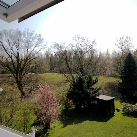 Rehblick Bad Harzburg